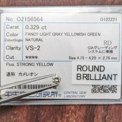 2025年最新】カメレオンダイヤの人気アイテム - メルカリ 