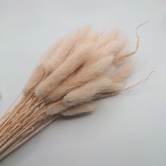 大地農園 ラグラス ピンクベージュ 新品1束