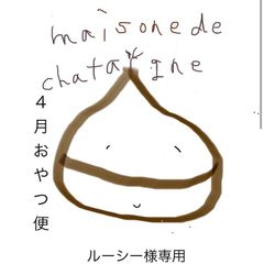 ルーシー様専用　おやつ便　シフォンケーキサンド　チーズケーキ　テリーヌ