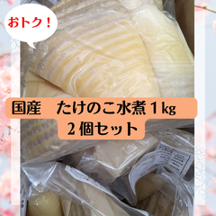 ボリューム満点♪香川県産たけのこ水煮　１㎏　国産　２個セット