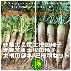 練馬大長尻大根と青首宮重大根の種子 各50粒　無農薬無化学肥料栽培・固定種のタネ