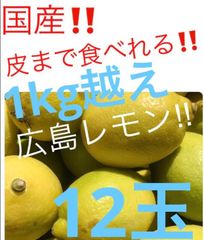 国産　広島レモン　無農薬栽培