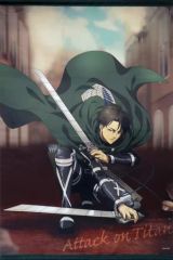 [중고] 태피스트리 리바이 B1 태피스트리 [와쿠 도키 복권 진격의 거인-attack on titan-] D상