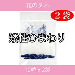 花のタネ EAJ 矮性ひまわり 10粒 x 2袋