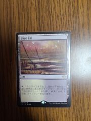 MTG 湿地の干潟 モダンホライゾン2 マジックザギャザリング