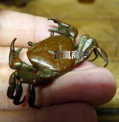 Ｐ７２３　蓋置　『千秋長治造』『蝋型鋳銅』『蟹蓋置』　共箱　茶道具 P723 蓋置 『千秋長治造』『蝋型鋳銅』『蟹蓋置』 共箱 茶道具