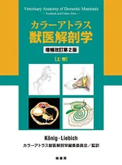 解剖学カラーアトラス第９版 解剖学カラーアトラス 第9版 | 書籍詳細 | 書籍 | 医学書院