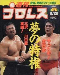プロレス王国　特別編集 95プロレス年鑑 95プロレス年鑑 プロレス王国 特別編集 ※アントニオ猪木 三沢光晴 前田
