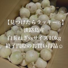 【終了間際のお買い得品☺︎】淡路島産　白玉ねぎ　ssサイズ　10kgのサムネイル