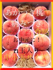 12日終了！ 8月上旬〜8月中旬にかけ発送予定。お盆の手土産に！激甘っ。。9年の実績あり！　桃の女王　「木成り熟成・あかつき桃」