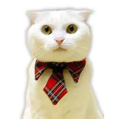 キャットプリン アリスちゃんのネクタイシャツ 1枚　猫の服 猫服 キャットウエア 猫用 付け襟 ネックカラー 帽子 ネコ ねこ かわいい おしゃれ コスプレ 変装 散歩 ファッション 記念写真 年賀状 ペット名刺