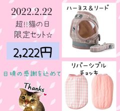 超⭐︎猫の日限定品⭐︎2,222円セット①