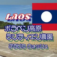 ラオス ボラベン高原 ミンティエン農園 アラビカ ウォッシュ G1★スペシャリティコーヒー　200g入り★ラオス珈琲豆★自家焙煎コーヒー豆★シングルオリジン★エムリバーサイドコーヒー★M river side coffee
