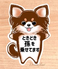 ときどき孫を乗せてます【わんこチワワ.チョコタン】マグネットタイプ/シールタイプ/吸盤タイプ