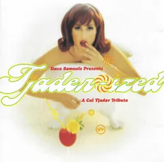 CAL TJADER PLUGS IN レコード Plugs In : Cal Tjader | HMV&BOOKS online - 622