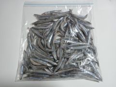 キビナゴ　冷凍　5kg　釣り餌　魚のエサに　ダトニオ　アロワナ　ガー　など　スルルーにも　撒き餌　まき餌