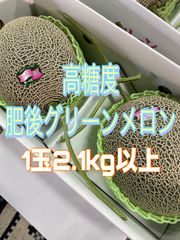 肥後グリーンメロン　2玉入り 特サイズ