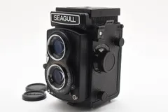 2025年最新】seagull 4b-1の人気アイテム - メルカリ