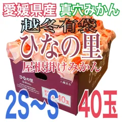 🩷セール7980円←9980円🎉お待たせしました‼️入荷いたしました🩷✨超希少‼️愛媛県真穴産 【ひなの里・屋根掛けみかん】 越冬有袋【2S〜S混合 40玉 約3kg：箱込】