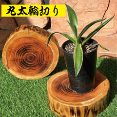 【国産木材】丸太輪切　おしゃれな台座