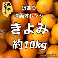 10kg　きよみ　訳あり　家庭用　愛媛県産　商品説明お読みください　柑橘　みかん