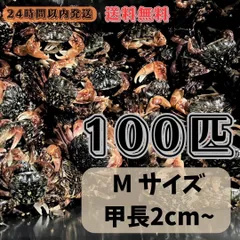 2025年最新】石鯛 冷凍餌の人気アイテム - メルカリ