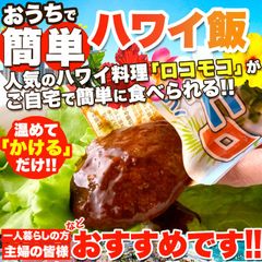 【160g×4袋】ロコモコ丼ハンバーグ入り 人気のハワイ飯 温めてかけるだけ!!
