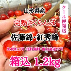 【クール便】山形県産 さくらんぼ 2種 佐藤錦 紅秀峰 箱込1.2kg 訳あり 送料無料