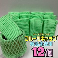 果物ネット　フルーツキャップ　緩衝材　保護ネット　あみあみ　青果ネット　グリーンセット