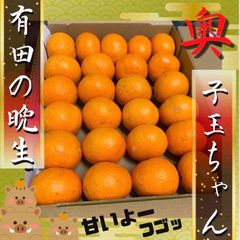 有田みかん　高糖系　お試し　コンパクト　箱いっぱい