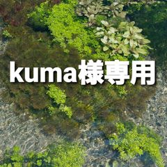 kuma様専用　日本の水草6種類セット