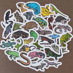 【商品番号S05】　爬虫類のフレークシール　爬虫類　トカゲ　ヤモリ　カメレオン　ヘビ　蛇　　シール　アカメカブトトカゲ　トッケイヤモリ　エボシカメレオン　エリマキトカゲ　ヒョウモントカゲモドキ　レオパードゲッコー