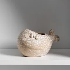 クジラ 多肉植物 植木鉢 鯨 寄せ植え 北欧 観葉植物 プランター サボテン 横長 かわいい おしゃれ フラワーポット ガーデンポット  ベージュ  動物 小動物 am