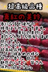 いちご　高級品種黒苺Sサイズ    クール便