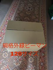 規格外緑ピーマン120サイズ(10kg～13kg)
