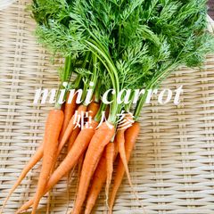姫人参 ミニキャロット 約30本 農薬不使用 ニンジン ミニニンジン