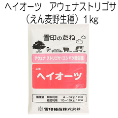 ヘイオーツ（エンバク野生種）　アウェナストリゴサ種子　1kg【種】雪印種苗　緑肥の種　大根や人参が綺麗にできます