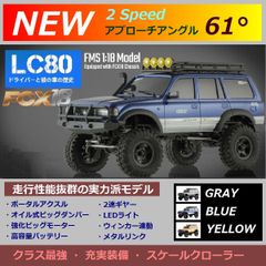 NEW ★ 1/18 FMS FCX18 LC80 TOYOTA Land Cruiser RTR
