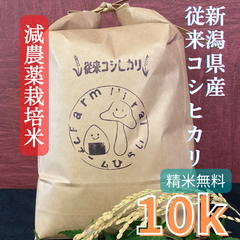 令和4年　新潟県産　減農薬従来コシヒカリ玄米10kg