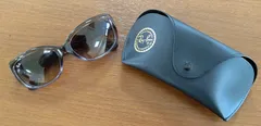 RayBan レイバン サングラス RB4101F USED 美品