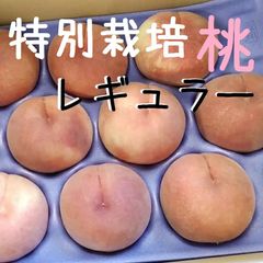 もも３ｋｇ【特別栽培】10〜11個入り　ギフトにも◯