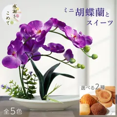 プレゼント 誕生日 誕生日プレゼント ギフト お祝い ミニ 胡蝶蘭 洋菓子 個包装 フラワーギフト 記念日 蘭 ラン ran 花 鉢 花とスイーツセット 花とスイーツ お返し ギフトセット お供え 仏花のサムネイル