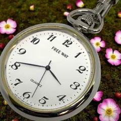 2025年最新】Citizen 付属品：付属品なし 懐中時計の人気アイテム