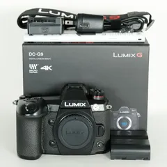 Panasonic Lumix G9 Pro 本体 シャッター数4869