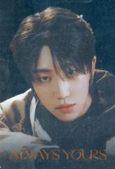 [중고] 식완 스티커 씰 디에이트 레어 씰 [SVT 웨이퍼 하스 FROM PLEDIS ENTERTAINMENT SEVENTEEN]