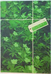 嵐 グリーンフィンガーズ 相葉雅紀 パンフレット