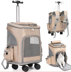 Item thumbnail for item 4ab318f1-3f1c-4f46-a3fa-8867869669bb