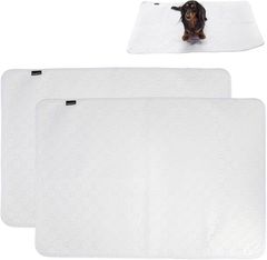 Item thumbnail for item 03858cc6-2b57-4c5b-90f8-b85acb8dbd62