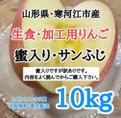 【訳あり10kg】山形県産 サンふじ 箱重量込 10kg 蜜入りなし混合