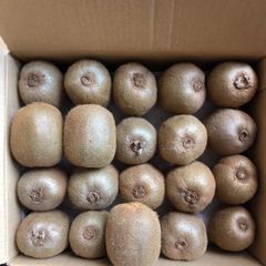 セール❗️関東県限定❗️静岡産キウイフルーツ 2.5kg